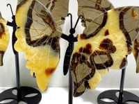 3 Pairs Septarium Butterfly Wing Carving With Stand #3