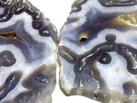2 Pieces Large Beautiful Moss Agate Slab