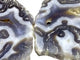 2 Pieces Large Beautiful Moss Agate Slab