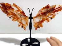 Unique Fire Quartz Butterfly Wing Carving With Stand