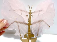 2 Pairs Rose Quartz Butterfly Wing Carving With Stand