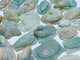 23 Pieces Caribbean Calcite Sea Animals Carving