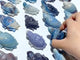 19 Pieces Trolleite Sea Turtle Carving