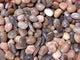 Sunstone Tumbled Closeout (Natural Cracks)