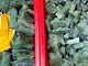 Natural Prehnite Tower One Side Raw Points Wholesale