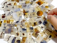 107 Pieces Natural Rare Scenic Dendritic Agate Stone