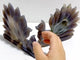 2 Pieces Geode Druzy Agate Nine-tailed Fox Carving #7
