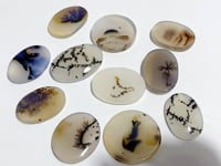 11 Pieces Natural Rare Scenic Dendritic Agate Stone