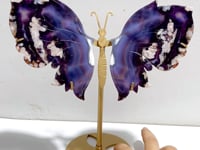 Unique Purple Sakura Flower Agate Butterfly Wing Carving With Stand