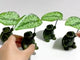 Green Jade Turtle Carving Wholesale