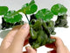 Green Jade Frog Carving Wholesale