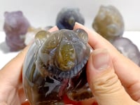 8 Pieces Geode Druzy Agate Bear Carving