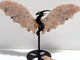 Pink Agate Flying Dragon Wing Carving With Stand