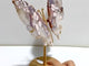 Unique Sakura Flower Agate Butterfly Wing Carving With Stand