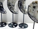 4 Pieces India Moonstone Moon Carving With Stand