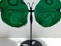 Beautiful Polished Malachite Slab Butterfly Wing With Stand (#4)