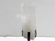 Large Clear Quartz Point Raw Bottom With Stand