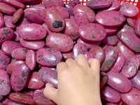 High Quality Rhodonite Palm Stone Wholesale