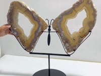 Very Large Beautiful Geode Druzy Sakura Flower Agate Butterfly Wing Carving With Stand #3 (Sea Freight Only)