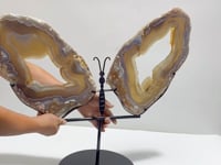 Very Large Beautiful Geode Druzy Sakura Flower Agate Butterfly Wing Carving With Stand #2 (Sea Freight Only)