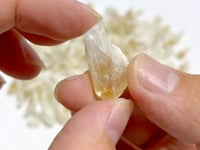 Citrine Mini Point Rough Crystal Wholesale