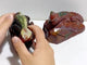 2 Pieces Ocean Jasper Lizard Carving #6