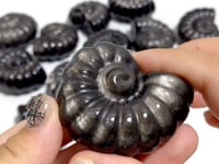 Silver Sheen Obsidian Conch Carving Wholesale