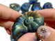 Labradorite Conch Carving Wholesale