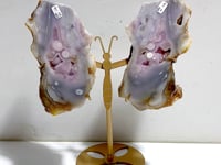 Geode Druzy Sakura Flower Agate Slab Butterfly Wing Carving With Stand