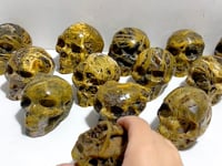 13 Pieces 6th Vein Ocean Jasper Geode Skull Carving