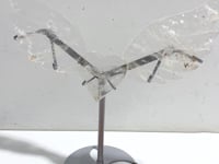 Clear Quartz Heart Wing Carving With Stand