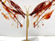 Red Fire Quartz Butterfly Wing Carving With Stand
