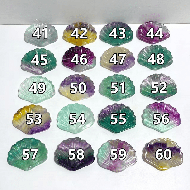 Rainbow Fluorite Shell Wholesale (No.41-60) -Wholesale Crystals