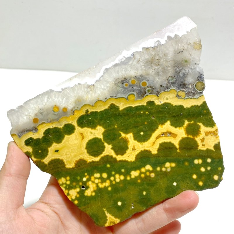 Unique 8th Vein Ocean Jasper Slab With Stand 9 - Wholesale Crystals