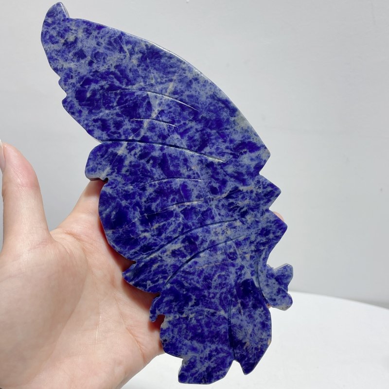 Unique Blue Sodalite Butterfly Wing Carving With Stand - Wholesale Crystals