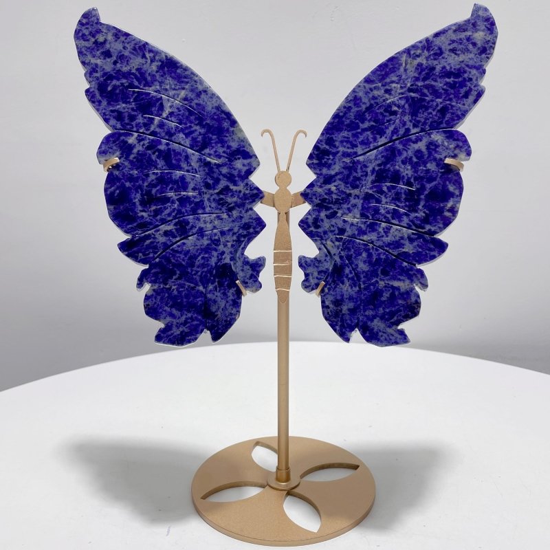 Unique Blue Sodalite Butterfly Wing Carving With Stand - Wholesale Crystals