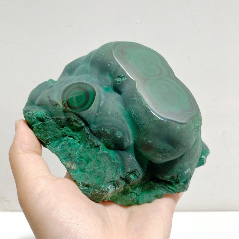 Unique Malachite Specimen Raw Bottom With Stand For Collection - Wholesale Crystals