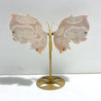 Unique Pink Agate Butterfly Wing Carving With Stand - Wholesale Crystals