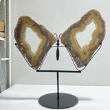 Very Large Beautiful Geode Druzy Sakura Flower Agate Butterfly Wing Carving With Stand 3 (Sea Freight Only) -Wholesale Crystals