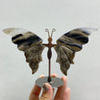 Volcano Agate Butterfly Wing Carving With Stand Wholesale (UV-Reactive) -Wholesale Crystals