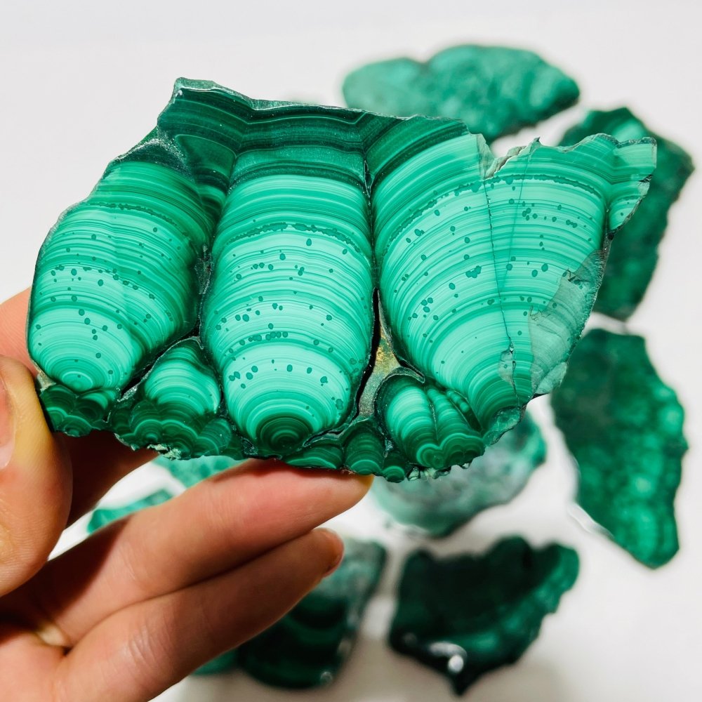 12 Pieces High Quality Polished Malachite Slab -Wholesale Crystals