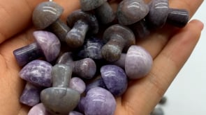 Lepidolite&India Agate Mushroom Wholesale -Wholesale Crystals