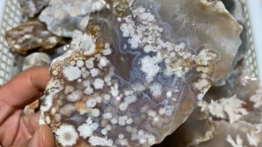 Sakura Flower Agate Slab Wholesale -Wholesale Crystals