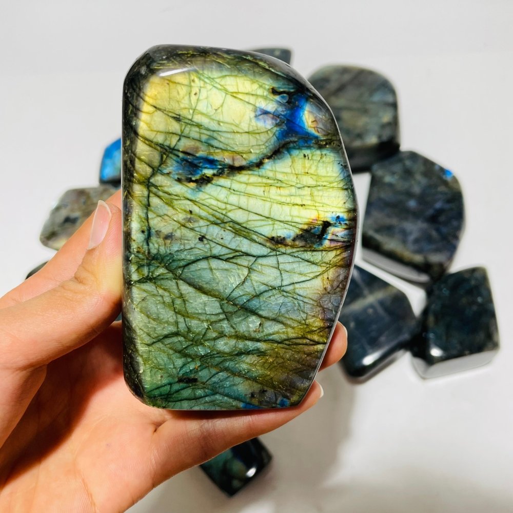 14 Pieces Labradorite High Quality Polished Large Free Form -Wholesale Crystals