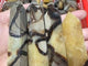 Septarium Tower Points Wholesale -Wholesale Crystals