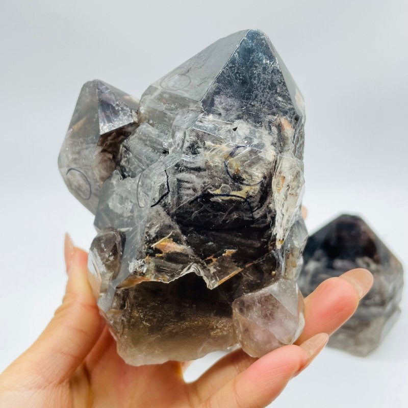 3 Pieces Enhydro Backbone Crystal Specimen Smoky Quartz Stone For Collection - Wholesale Crystals