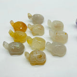 4 Types Turtle Carving Wholesale Caribbean & Moss Agate -Wholesale Crystals