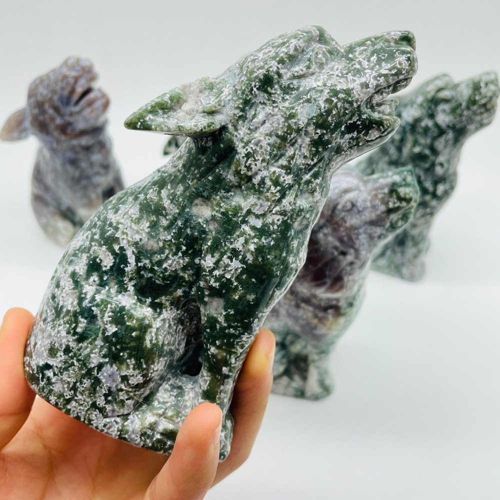 5 Pieces High Quality Large Ocean Jasper Wolf Carving -Wholesale Crystals