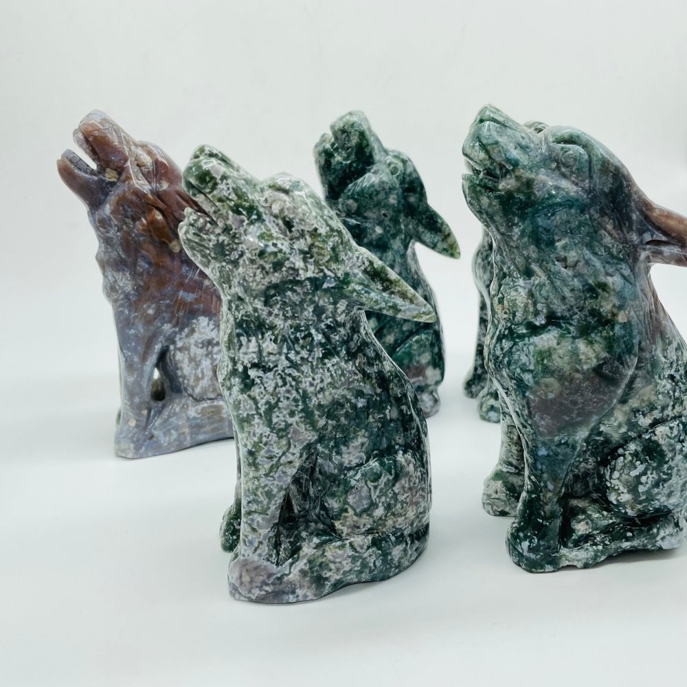5 Pieces High Quality Large Ocean Jasper Wolf Carving -Wholesale Crystals