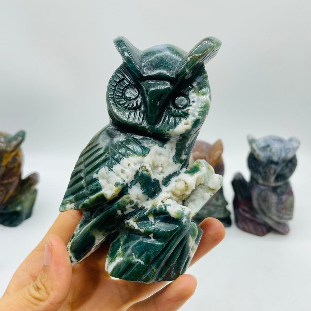 4 Pieces High Quality Ocean Jasper Owl Carving -Wholesale Crystals